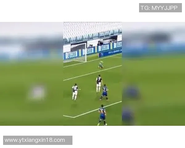 当绿茵场上的爱恋绽放足球明星与追梦女孩的浪漫故事